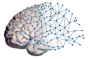 Brain Mapping Brain Mapping